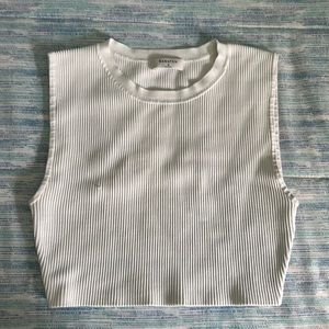 Aritzia Babaton Sculpt Knit Crop Tank